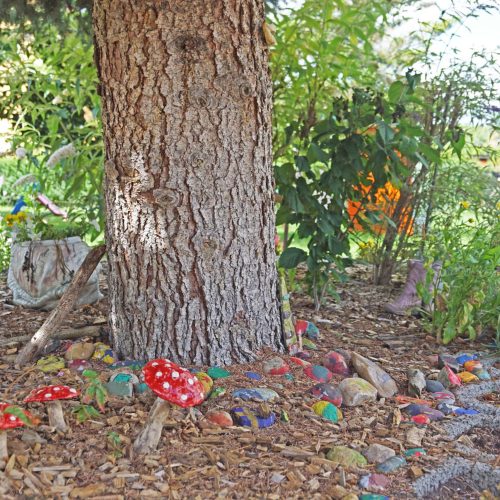 bunte Steine und Pilze