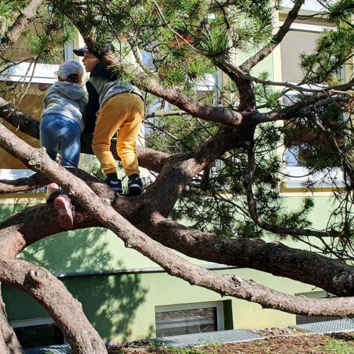 Neugierige Kinder klettern auf einen Baum